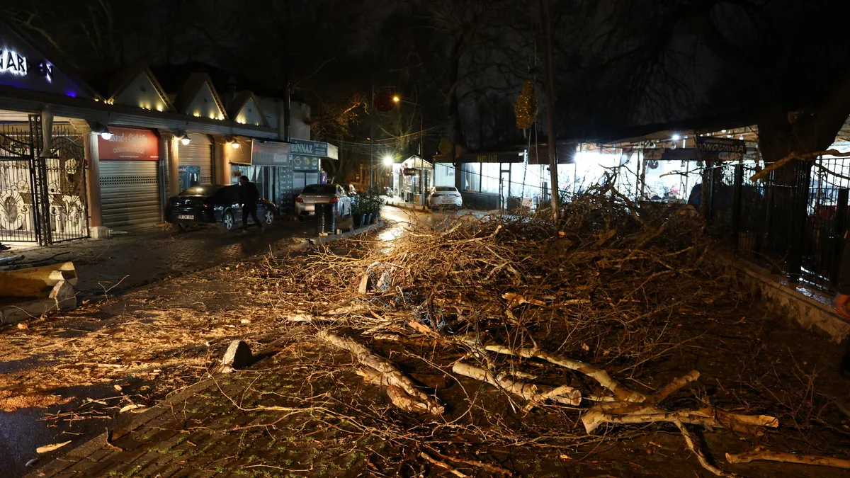 İzmir'de şiddetli rüzgar ağaçları devirdi! Bir otomobilde maddi hasar oluştu