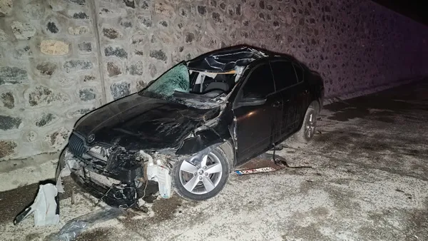 bingolde-feci-kaza-yola-cikan-ata-otomobil-carpti-olu-ve-yaralilar-var-1714879527789.jpg Bingöl'de feci kaza! Yola çıkan ata otomobil çarptı | Ölü ve yaralılar var - 2