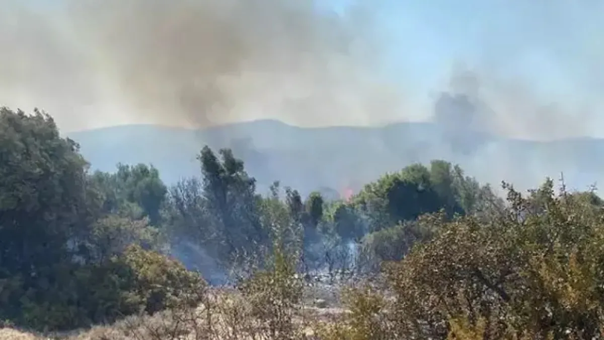 İzmir'de makilik yangını