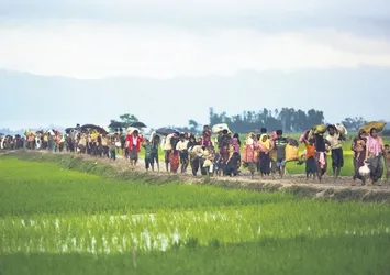 Myanmar ordusu, Arakanlıların mahsullerini topluyorlar