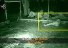 Survivor’da korkutan görüntü! Bir anda yere yığıldı |Video