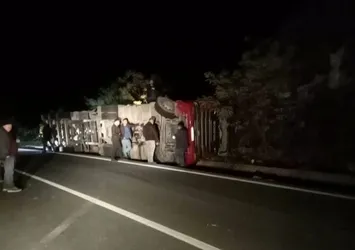 Ordu'da talaş yüklü TIR devrildi: 1 ölü