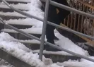 Buzlu yollarla mücadele!