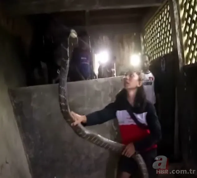 Eve giren kobra yılanıyla ölüm dansı yaptı! Tansiyon çıkaran anlar... 14