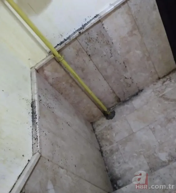 Yaşlı çift dehşet saçtı! Polise satırla saldırı girişimi kamerada | Kimyasal madde ile zehirlemeye çalıştılar 6