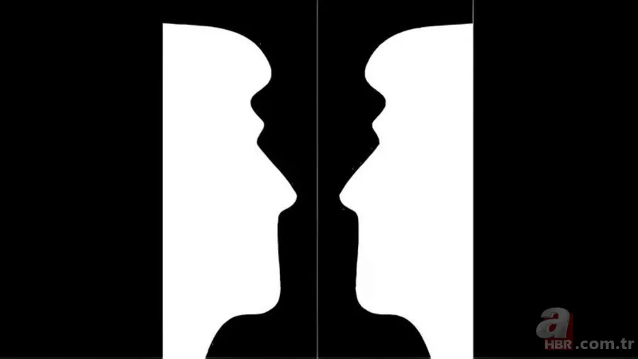 Optik illüzyon testi: Kararlarınızda ne kadar bağımsızsınız? 1