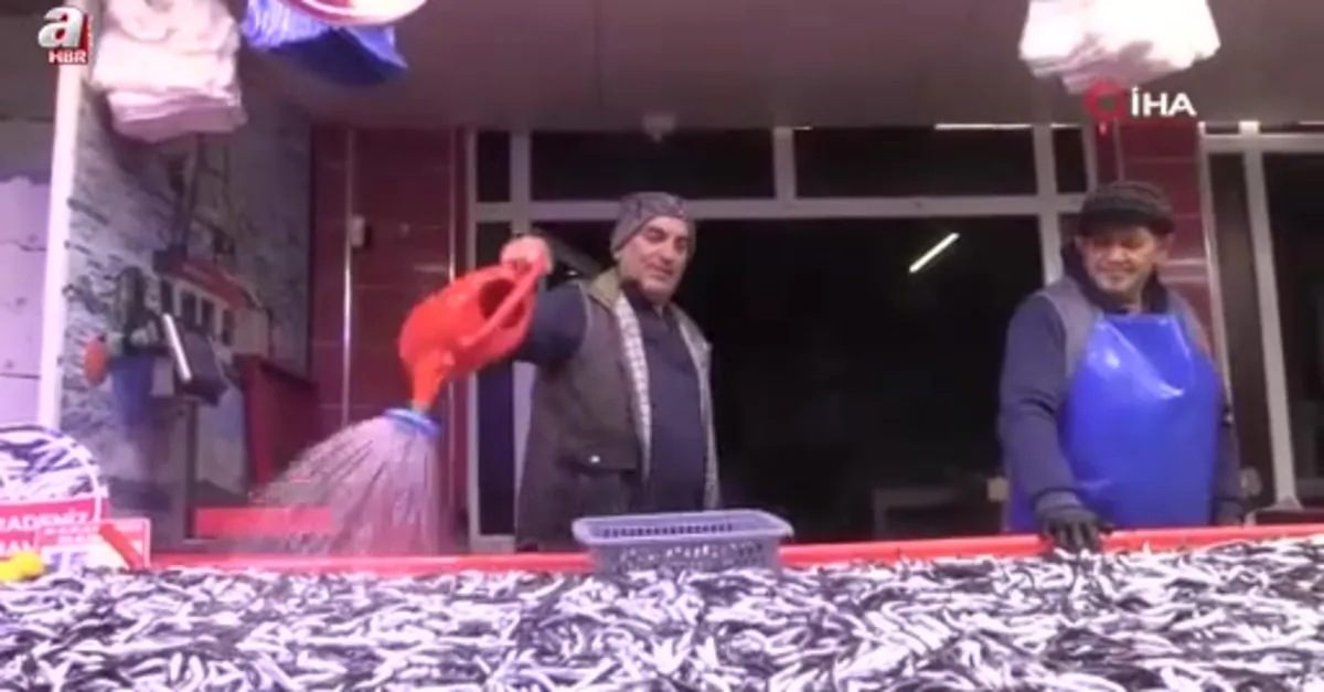Hamsinin kilosu 150 liraya düştü