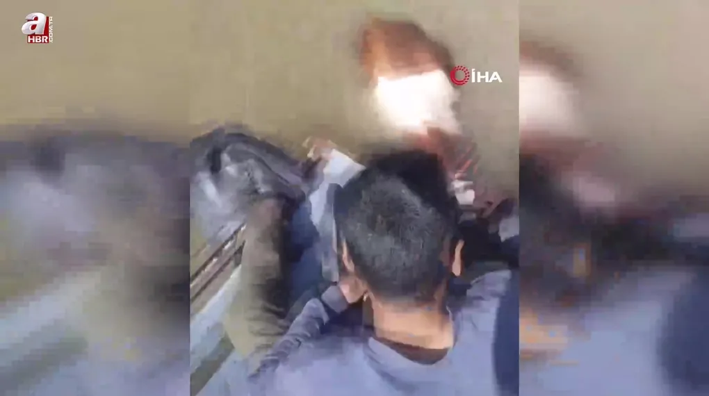 Bu sefer balık değil tosun yakaladılar