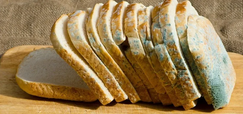 Küflü ekmek yemek tehlikeli mi? Küflü ekmek yenilirse ne olur?