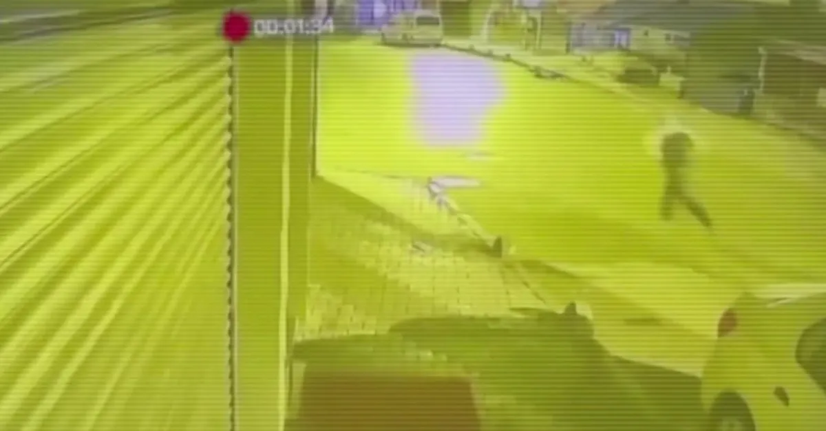 İki suç örgütü daha çökertildi!