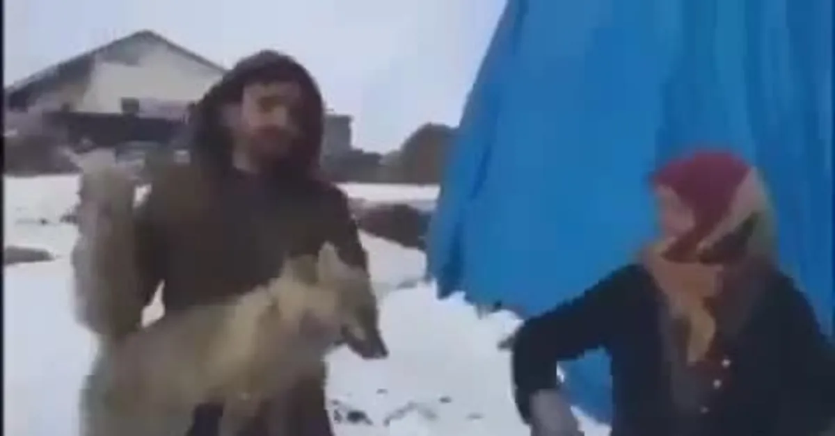Ardahan Valiliği harekete geçti! Tilkiye yapılan eziyetin görüntüleri tepki çekti!