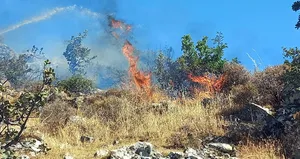 Bodrum’da yangın! Ekipler müdahale etti