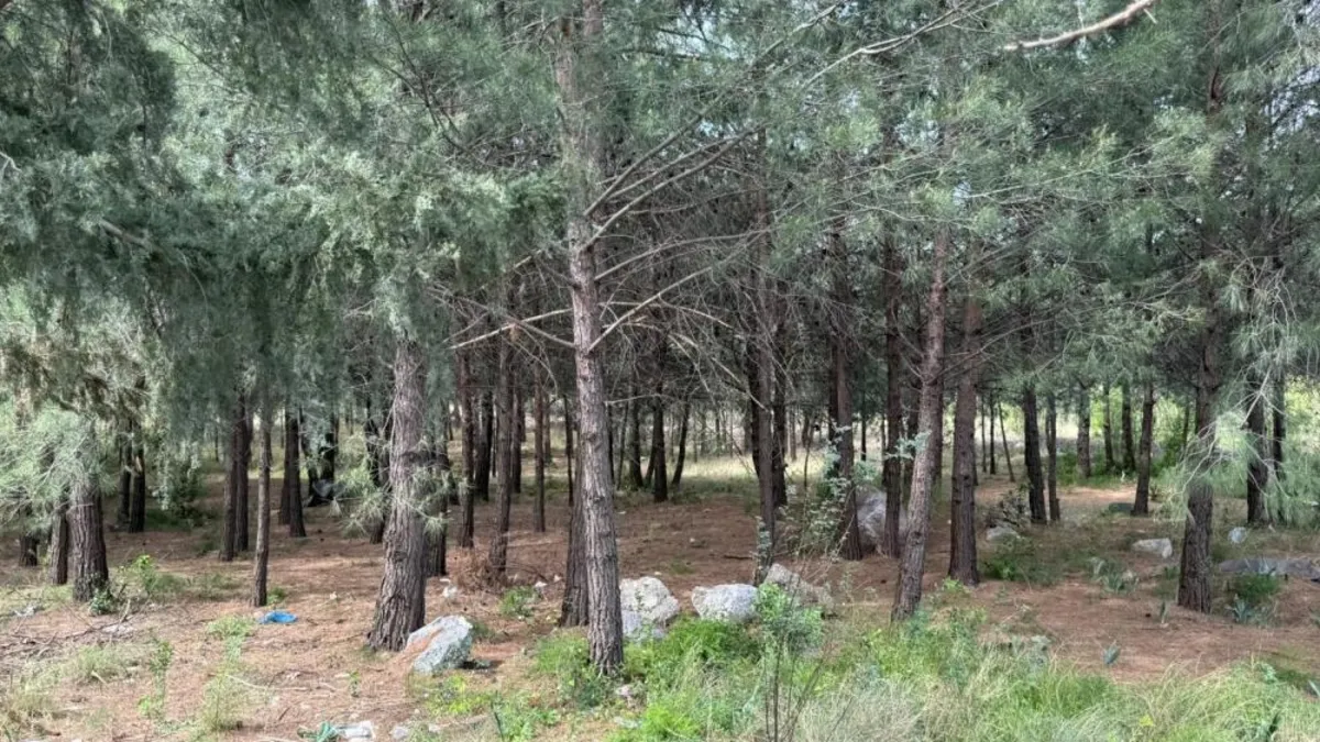 Akrabaları anne-oğulu vahşice öldürdü: Altınları alıp kaçtılar