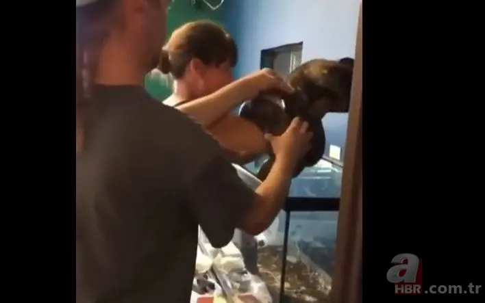 Her şey bir anda oldu! Dev piton yılanı bakıcısına böyle saldırdı 8