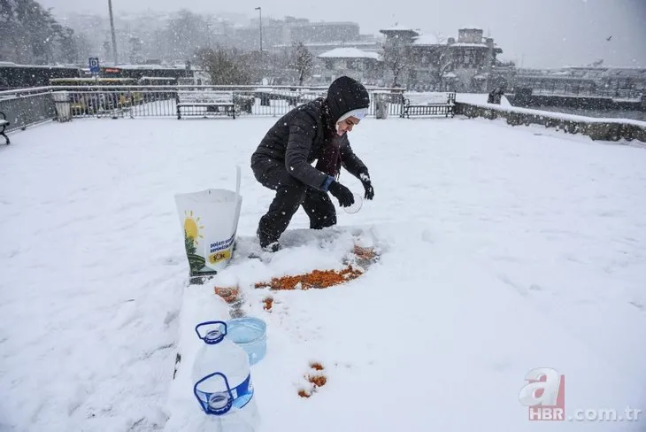 Türkiye son 35 yılın en soğuk martını yaşadı! İşte en sıcak ve en soğuk iller