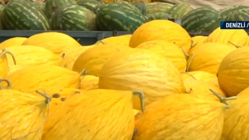 Denizli’de kavun ve karpuz mesaisi!