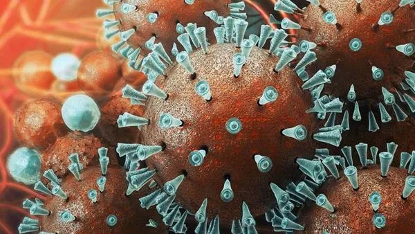 Son dakika: Ekmekten koronavirüs bulaşır mı? Prof. Dr. Ateş Kara herkesin merak ettiği soruyu yanıtladı