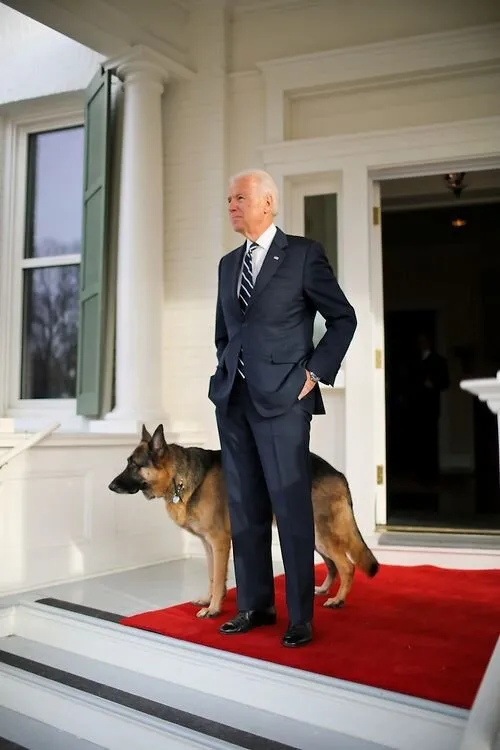 Joe Biden köpeğiyle oynarken düştü: Detaylı bir muayeneden geçirilecek