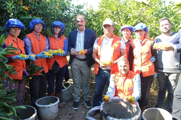 izmirin-topraklarindan-62-ulkeye-sari-altinin-hasat-zamani-geldi-1666767333796.jpg İzmir’in topraklarından 62 ülkeye! Sarı altının hasat zamanı geldi - 4