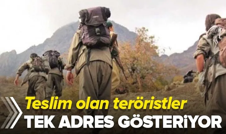 Teslim olan teröristler anlattı! Önce HDP, sonra Kandil!