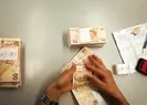 Bakan duyurdu: Destek ödemeleri hesaplara yatıyor