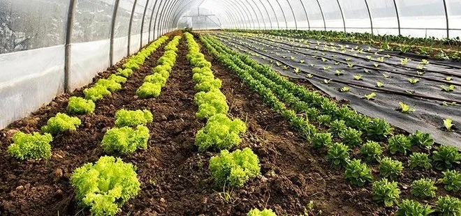 Gözler şubat yağışlarında! Tarımda kırmızı alarm yok