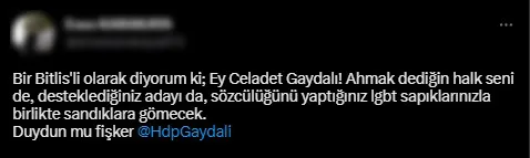 HDPKK'lı vekil Celadet Gaydalı'dan Bitlis'te vatandaşa hakaret! Kendilerine oy vermeyenlere "ahmak" dedi skandal sözleri tepki çekti - 5