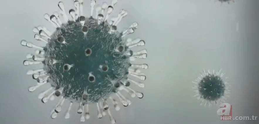 Covid-19'un mutasyon geçirip geçirmediği nasıl anlaşılıyor? Virüs neden mutasyon geçirdi? Mutasyon nedir? 5