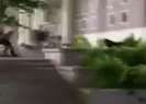 Kampüs içinde köpek saldırısı