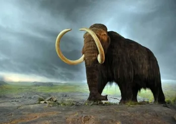 15 bin yıllık mamut tuzakları bulundu