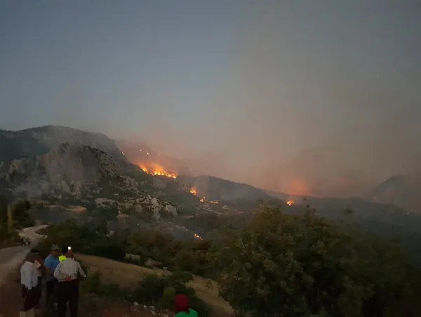 Tarım ve Orman Bakanı Bekir Pakdemirli’den CHP Genel Başkanı Kemal Kılıçdaroğlu’nun iddialarına cevap