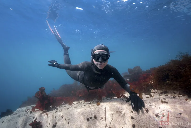 Şahika Ercümen Antartika'da dalış yaptı 14