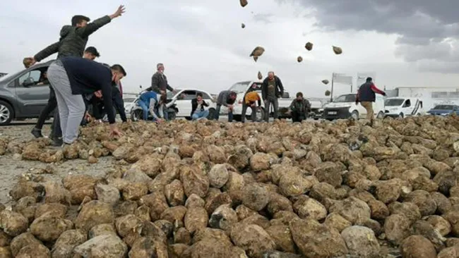 Bursa’da TIR ile otomobil çarpıştı! 30 ton pancar yola saçıldı - 1