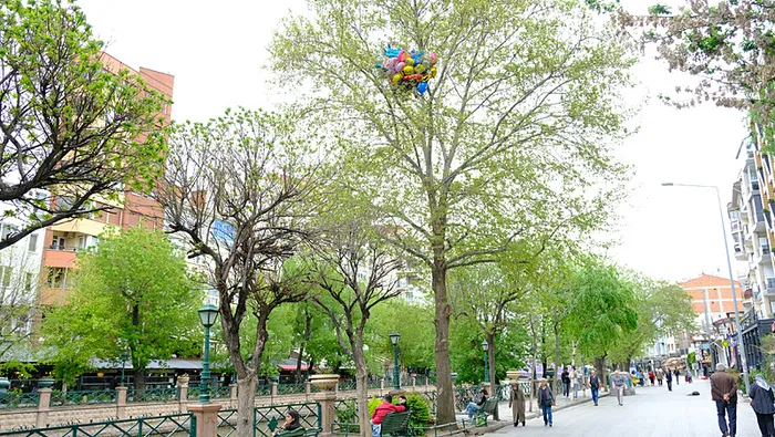 İlginç görüntü! Satıcının elinden kaçırdığı uçan balonlar ağaca takılı kaldı - 1