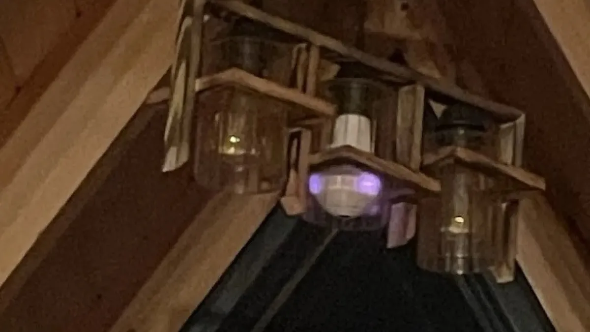 Bungalovdaki gizli kamera skandalında yeni gelişme! Tutuklu sanıklar tahliye edildi