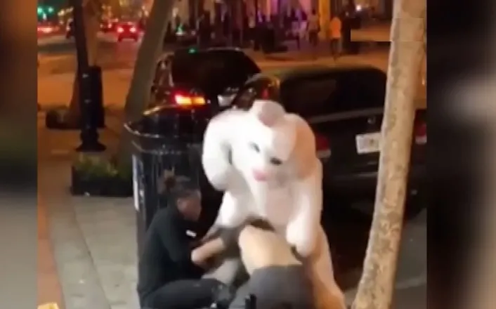 sosyal medya kadinla kavga eden adami doven tavsani konusuyor