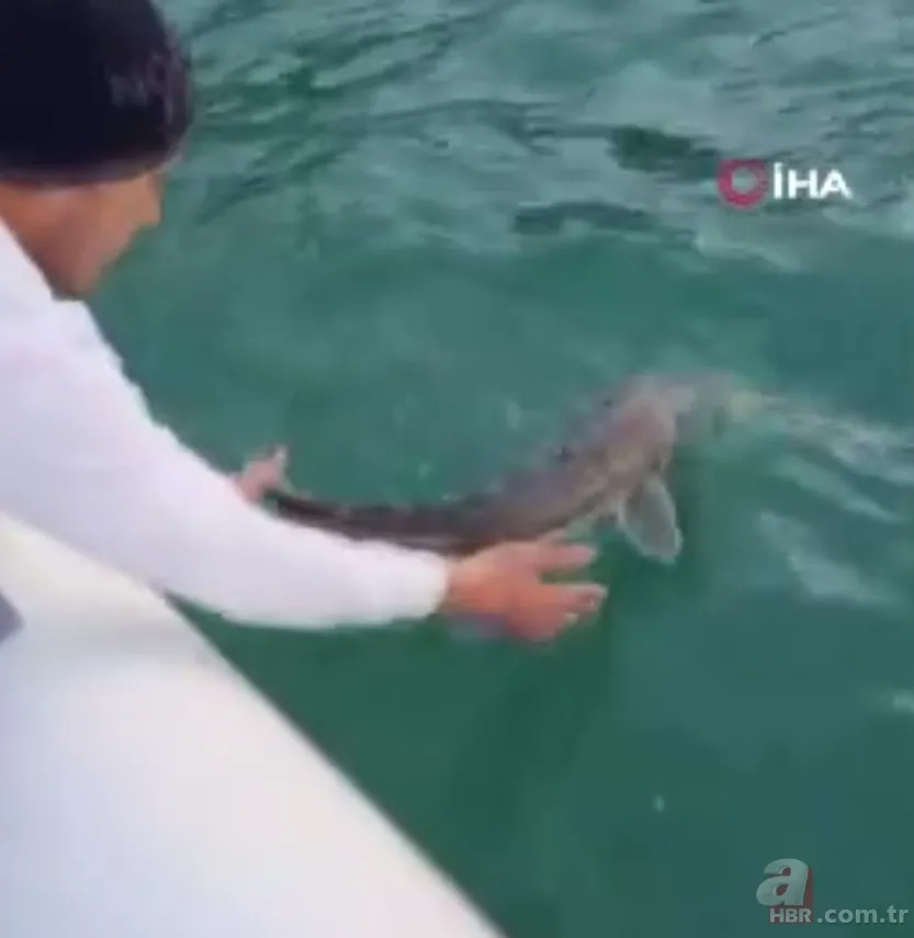 Balıkçılar oltayla yakaladı! Tam 317 kilo | 4 saat 45 dakika mücadele ettiler 🐟 7