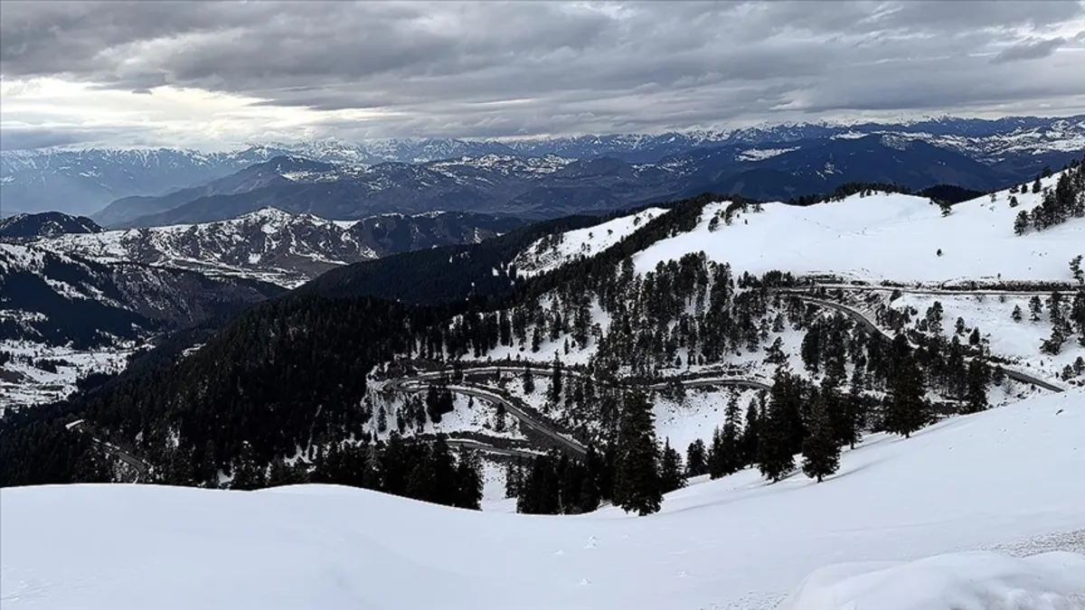 Ardahan, Kars ve Ağrı'da kar yağışı etkili oldu