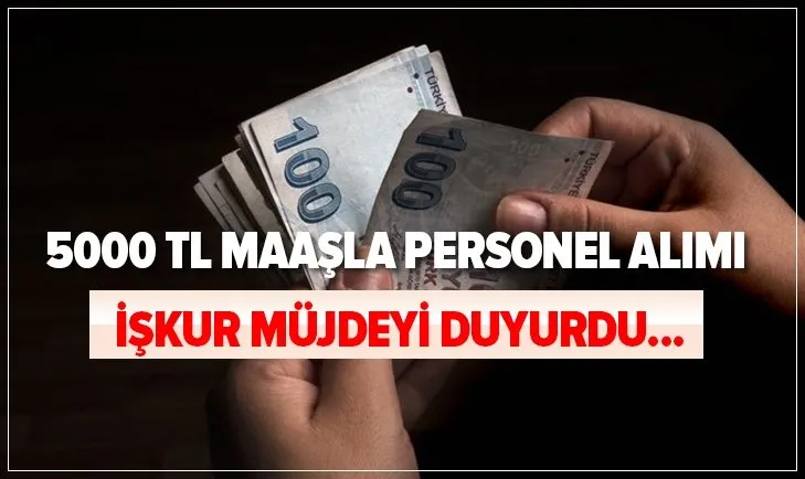 Iskur Duyurdu Kpss Sartsiz Mulakatsiz 5000 Tl Maasla Personel Alimi Basvuru Sartlari Ve Kadro Dagilimlari Neler