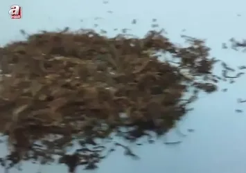 Yozgat’ta şüpheli araçta bonzai ve esrar yakalandı