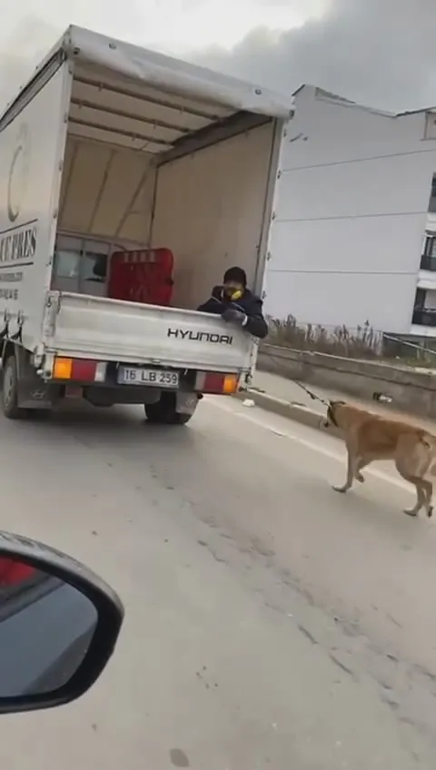 1609134822438.jpg Köpeği kamyonetin arkasında sürükledi! O anlar kamerada - 1