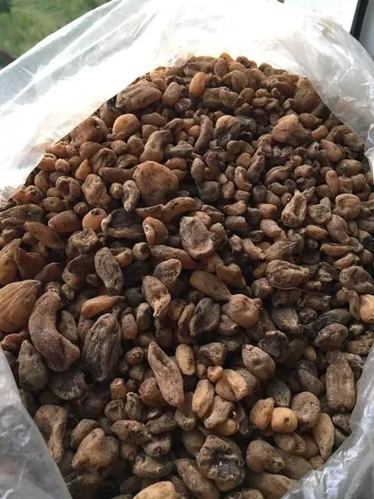 Evinde yabani orkide bulunan kişiye 40 bin lira para cezası