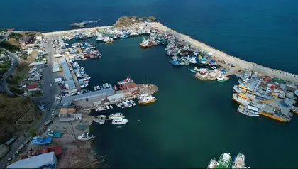 Av yasağı 1 Eylül’de sona eriyor! Bu sene palamut yok hamsi çok
