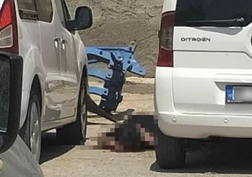 Mardin'de bombalı eylem hazırlığı | Etkisiz hale getirilen teröristin hedefinde polis varmış! Olay anındaki sözleri ortaya çıktı