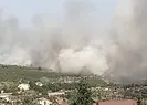 TÜBİTAKın ormanlık alanında yangın