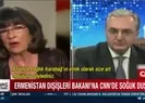 Ermenistan Dışişleri Bakanına soğuk duş