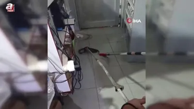 Markete giren yılan itfaiye erleri tarafından yakalandı