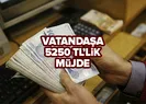 Vatandaşa kira ve hibe desteği! 5250 TL’lik müjde