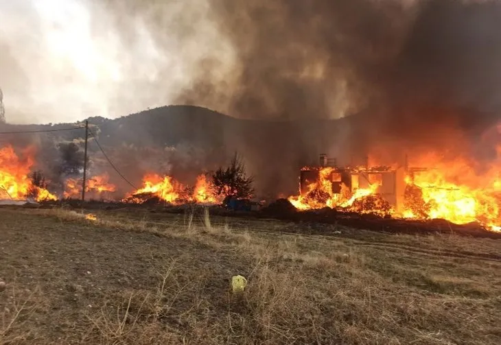 Kastamonu’da feci yangın! 15 ev alevlere teslim oldu! Köyde korkunç manzara