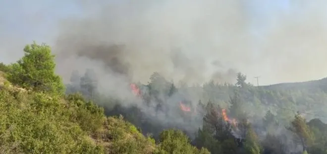 Manisa’da orman yangını: Havadan ve karadan müdahale ediliyor